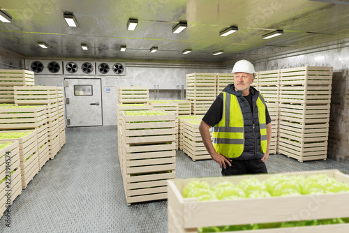 Cold storage warehouse, worker inspects crates of green apples stored in a refrigerated facility with industrial cooling and ventilation systems.
