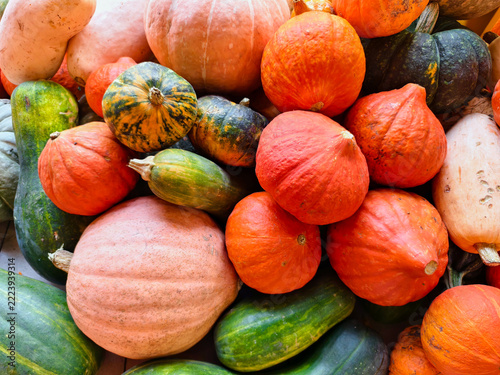 Harvested orange and green pumpkins background in a random pile of different varieties of pumpkin