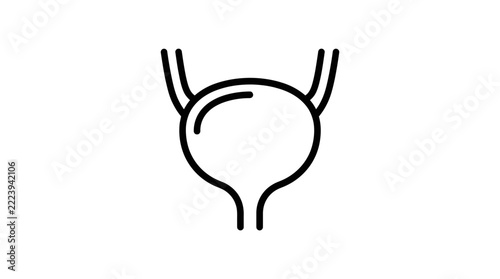 Human Bladder Icon, Isolated, Transparent Background, Medical Symbol