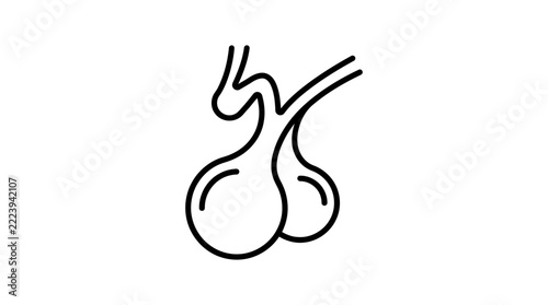 Human Endocrine System Pituitary Gland Icon Isolated
