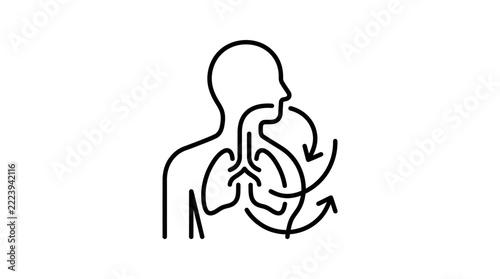 Human respiration system icon, lungs and airways, transparent background