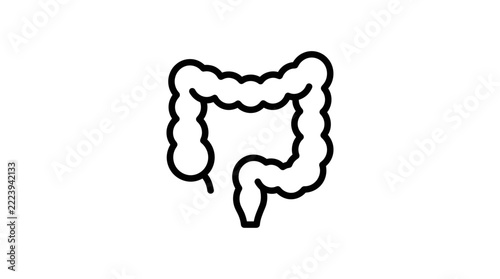 Isolated anatomical illustration of human colon on transparent background