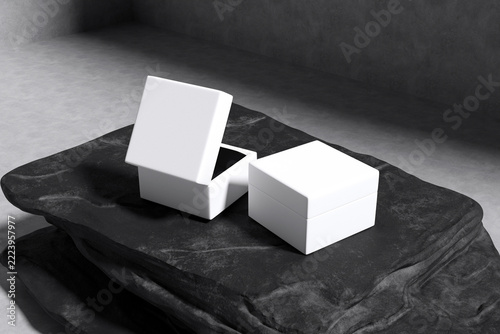 Realistic Ring Box Blank