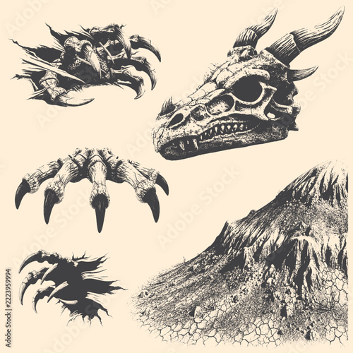 Detailed monochrome dragon skull head illustration with horns.