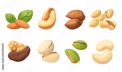 Premium mixed nuts isolated on white background, healthy snack assortment with almonds, cashews, walnuts.