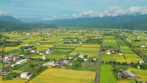 Aerial view of agriculture in rice fields and village, Taiwan.