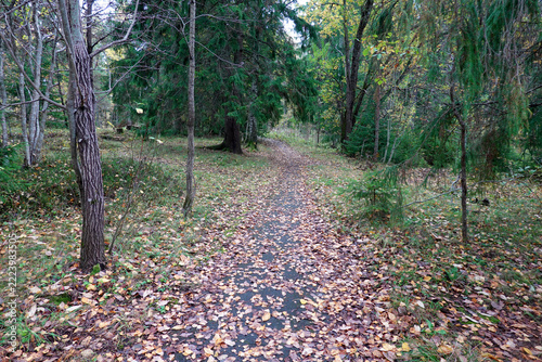 autumn