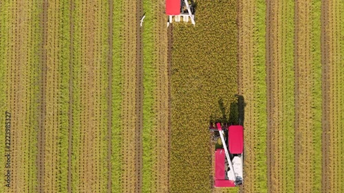 Aerial view of Combine harvester machine with rice paddy field, Taiwan