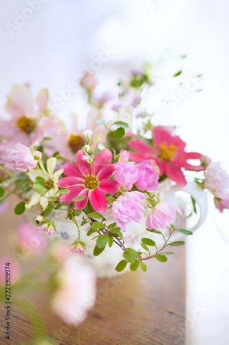 pink cherry blossom