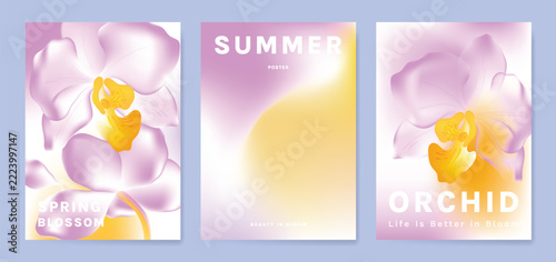 Orchid gradient poster background vector set. Minimalist poster summer and spring cover template. Ideal design for social media, banner, card, ads.