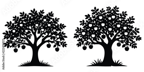 Two apple trees silhouette isolated on white background