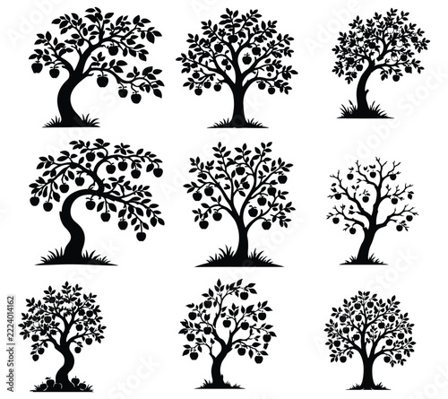 Set of fruit trees silhouettes