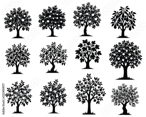 Set of black apple tree silhouettes