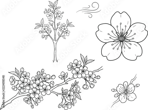 Japanese cherry blossom sakura botanical elements set with blooming branches single flower wind swirl icon lineart sketch illustration