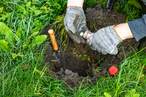 Person dropping repellent pill into open mole hole in garden lawn