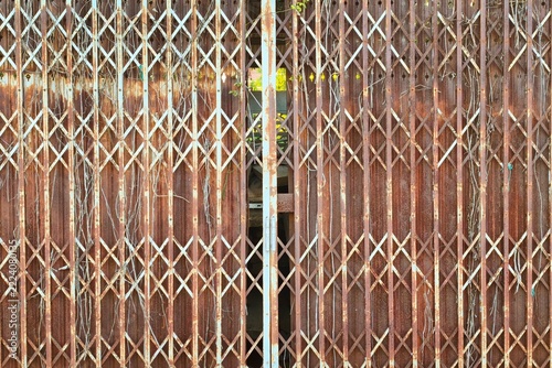old style of closed steel door