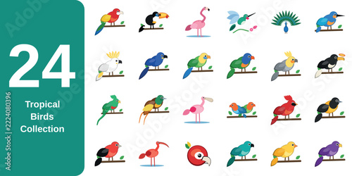 Set of colorful tropical birds clipart isolated on transparent background for wildlife design projects
