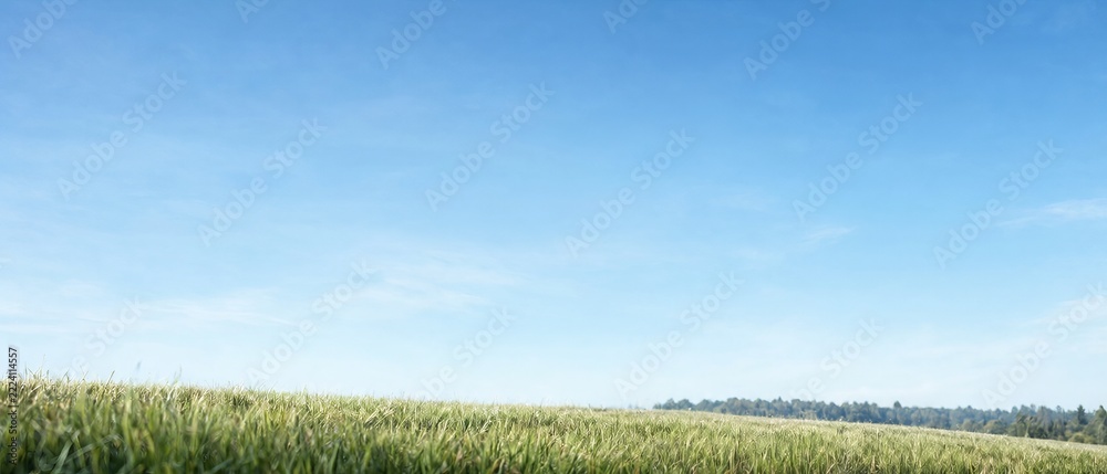 Fototapeta premium Minimalist Landscape Featuring a Clear Blue Sky Above a Serene Meadow with Soft Grassy Foreground