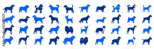 Set of blue dog silhouettes showcasing diverse breeds standing in simple poses