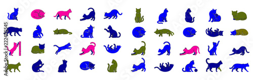 Collection of various cat breeds in different poses displayed as colorful