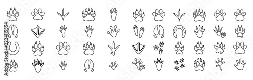 Set of various flower illustrations rendered in simple line art style