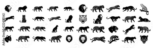 Collection of wild big cat species depicted in black solid shapes with cats