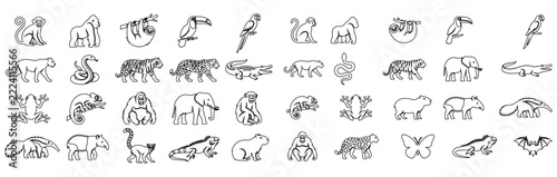 Selection of diverse pets and small woodland creatures as sketchy drawings