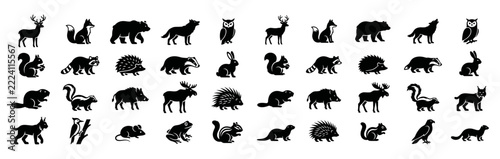 Black silhouette collection of north american forest and woodland animals