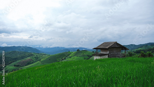 Wooden hut and rice terrace in the mountains on cloudy morning