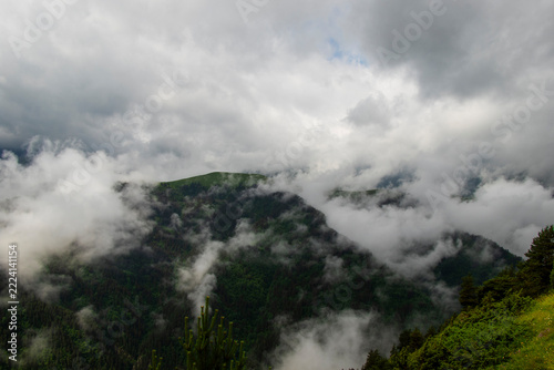 Misty Green Mountain Landscape in Gomecari Valley, Tusheti, Georgia