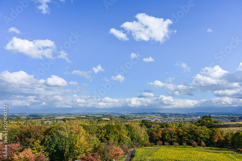 日本北海道美瑛の丘