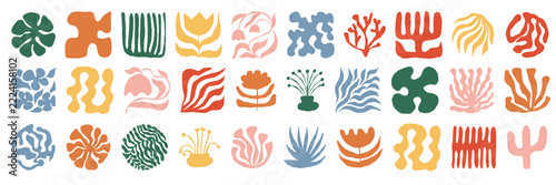 Colorful organic shape botanical collection with playful flowers leaves and abstract decorative figures. Modern minimal illustration set is perfect for branding packaging posters and creative assets.