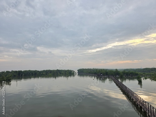 lake in the forest
