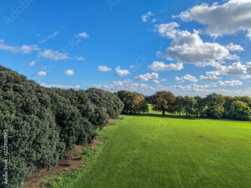 green grass and blue sky and trees