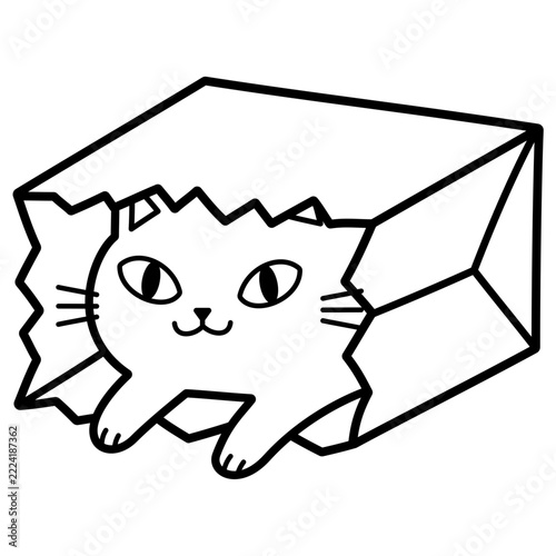 Cat In A Bag Vector Illustration 
