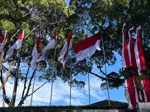 The Indonesian flag waves beneath a shady tree in the park