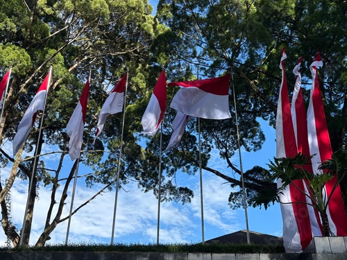 The Indonesian flag waves beneath a shady tree in the park