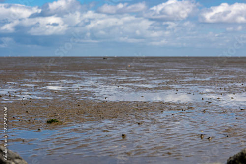 Wadden sea mudflats exposing tidal landscape under sky