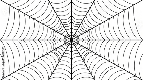 Abstract radial pattern of concentric web lines creating a mesmerizing symmetrical tunnel effect in black and white