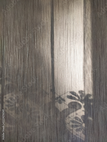 A tactile wall texture with shadows across a softly textured surface. Minimalist backgrounds, interior design, and organic aesthetics.
