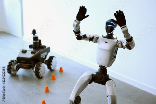 Humanoid robot and robot on wheels