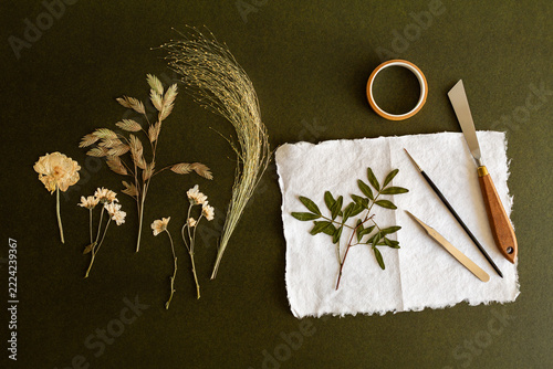 Herbier avec fleurs et feuilles séchées et pressées sur papier blanc artisanal, matériel de création, fond vert foncé, vue de dessus