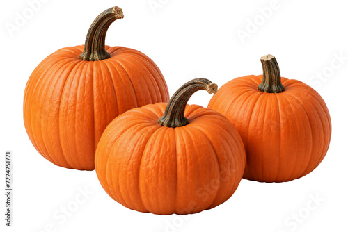 Three fresh orange pumpkins set isolated on white transparent background, autumn harvest vegetables, PNG