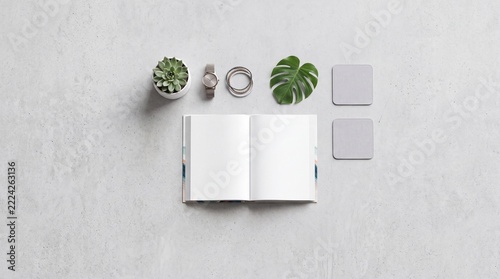 Minimalist Overhead Flat Lay of Open Blank Notebook with Succulent, Wristwatch, Monstera Leaf, and Coasters on a Grey Concrete Background for Lifestyle and Creative Workspace Concept