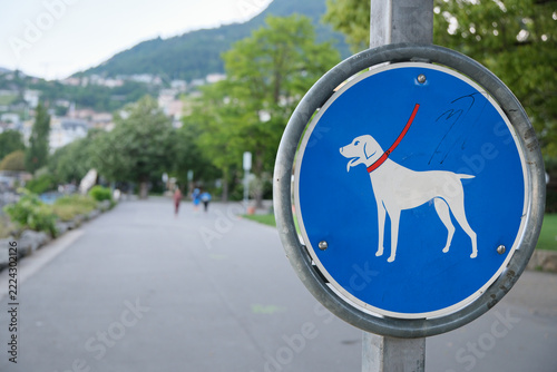 Blue dog walking sign stands beside park path near mountain backdrop. Leashed dog symbol gives clear pet rule guidance, and blurred walkers in green surroundings create peaceful public space.