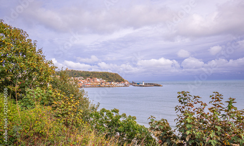 A seaside town with a harbour and lighthouse and shrubs are in the foreground.