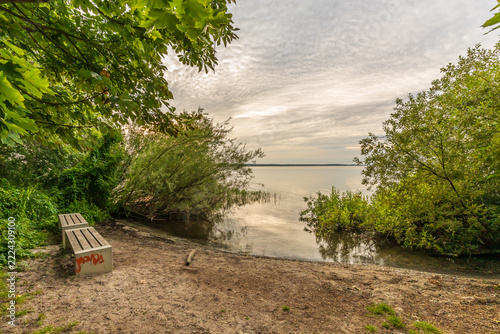 Die Natur an der Müritz in Mecklenburg-Vorpommern im Sommer
