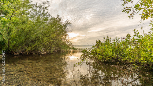 Die Natur an der Müritz in Mecklenburg-Vorpommern im Sommer