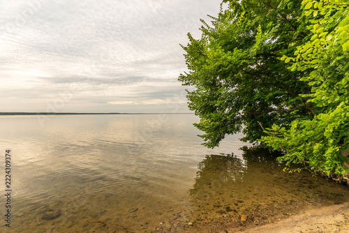 Die Natur an der Müritz in Mecklenburg-Vorpommern im Sommer