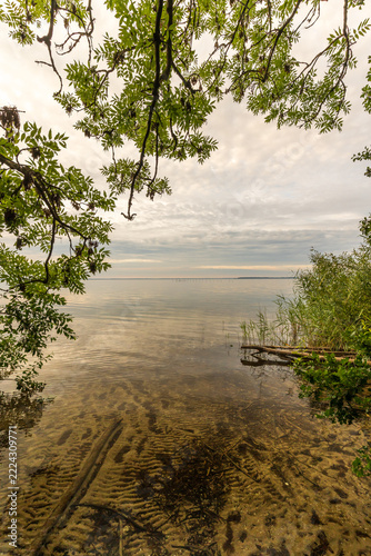 Die Natur an der Müritz in Mecklenburg-Vorpommern im Sommer